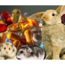 Vitaminok és Szőroldók