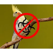 Külső belső élősködők elleni szerek