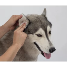 Fül és szemápolás